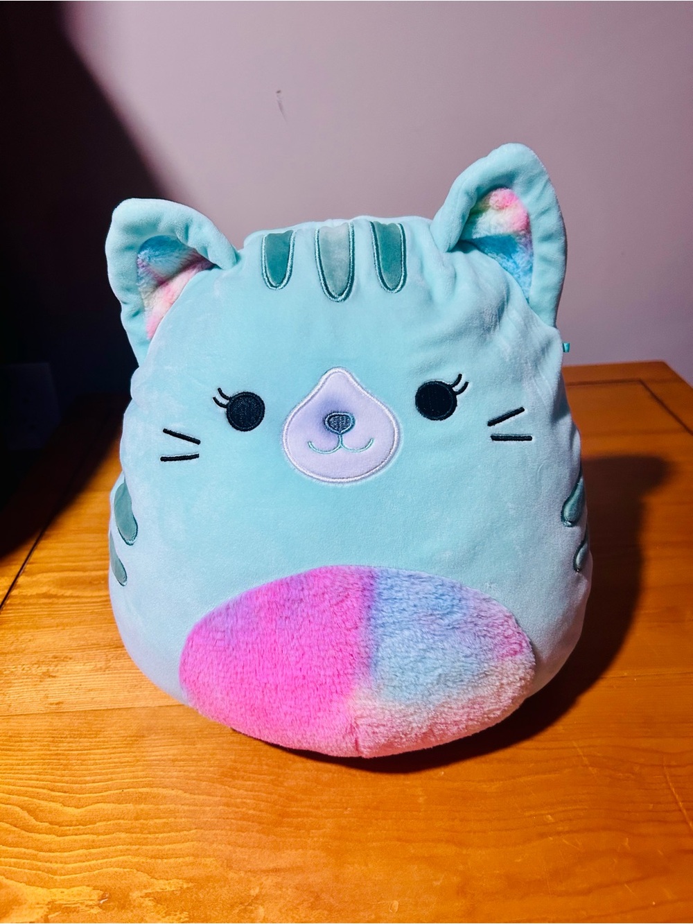 Squishmallows Mint Green Plush Cat with Pastel Rainbow Tag